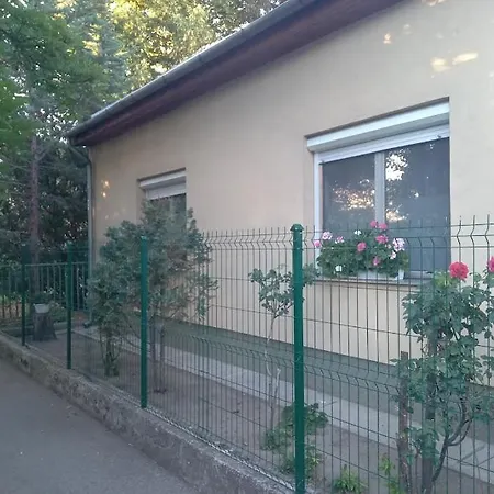 Spacious House In The Outskirts Of Budapest Kültér fotó