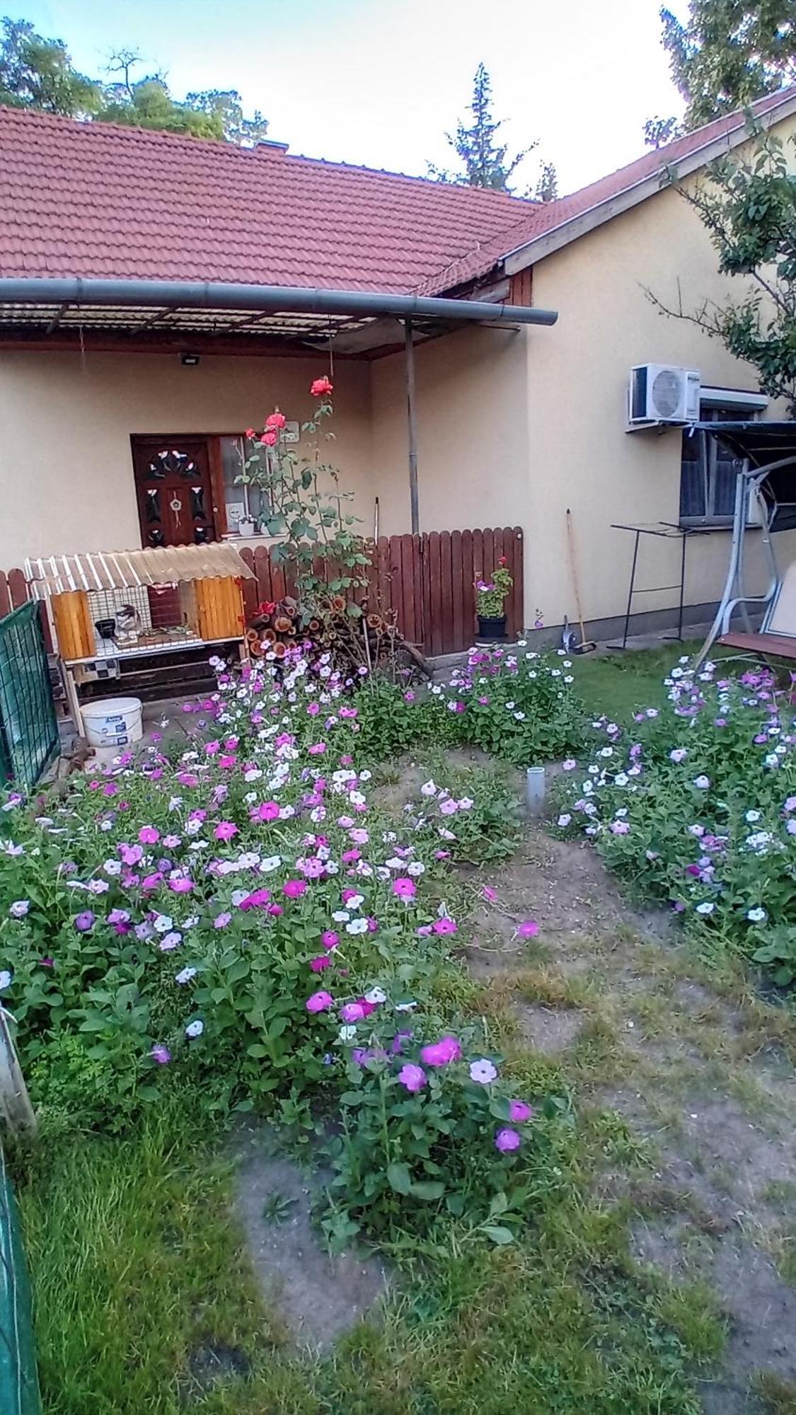 Spacious House In The Outskirts Of Apartman *